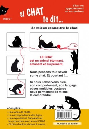 le chat4.jpg