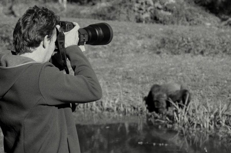 site de rencontres noir et blanc